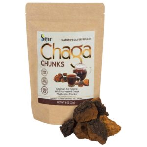 Chaga siberiano puro con corteza negra trozos 8 oz