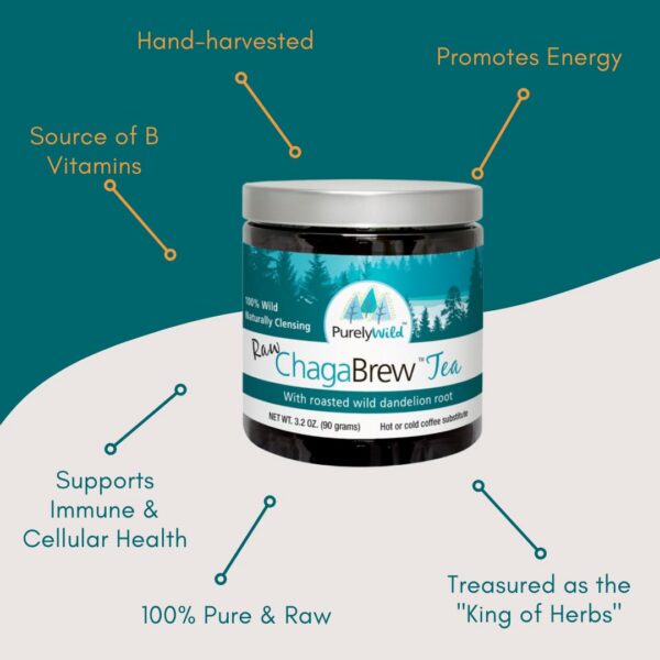 Version 1.0.0 Chaga silvestre del Dr. Cass Ingram