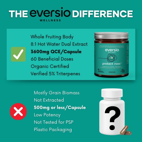 Chaga silvestre orgánico en cápsulas veganas Eversio Wellness