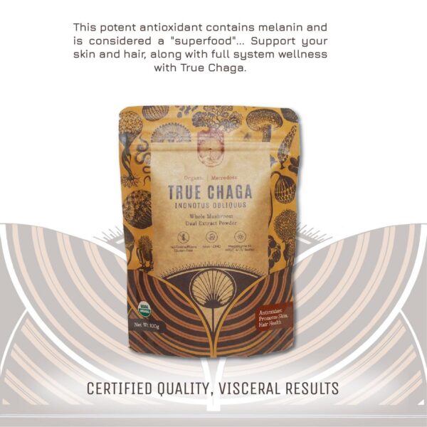 Chaga Verdadero Hamilton's en polvo con cuchara dosificadora