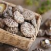 Champiñón Shiitake seco propiedades salud