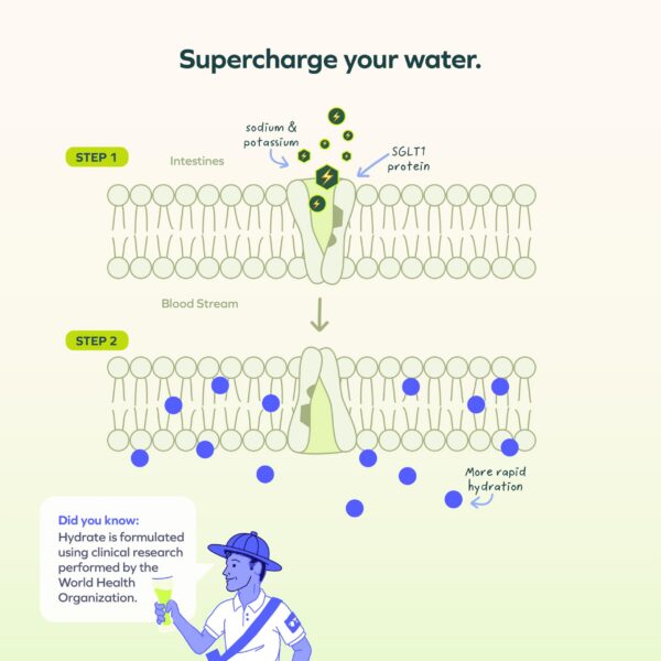 Instrucciones de uso de Cheers Hydrate