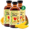 Version 1.0.0 Etiqueta frontal CHILDLIFE ESSENTIALS Multivitamínico para Niños