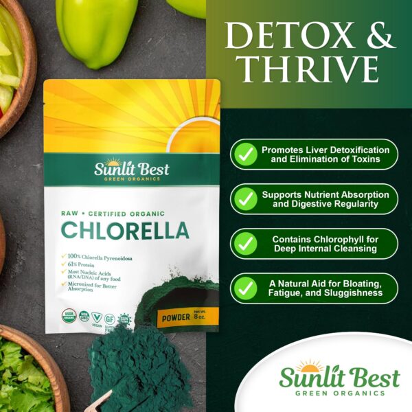 Chlorella con pared celular rota y proteína vegana cruda