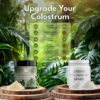 Contenido de polvo de colostrum y colágeno
