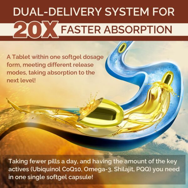 Caja de Ciaceae CoQ10