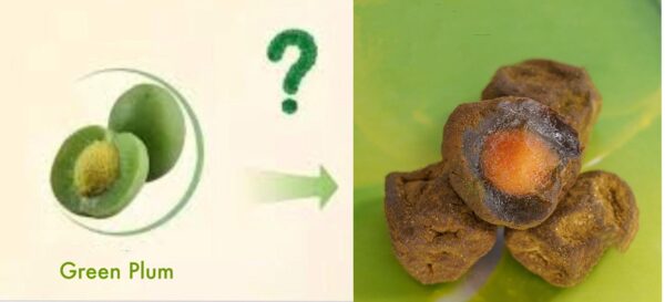 Ciruela verde fermentada con beneficios para digestión y antioxidantes