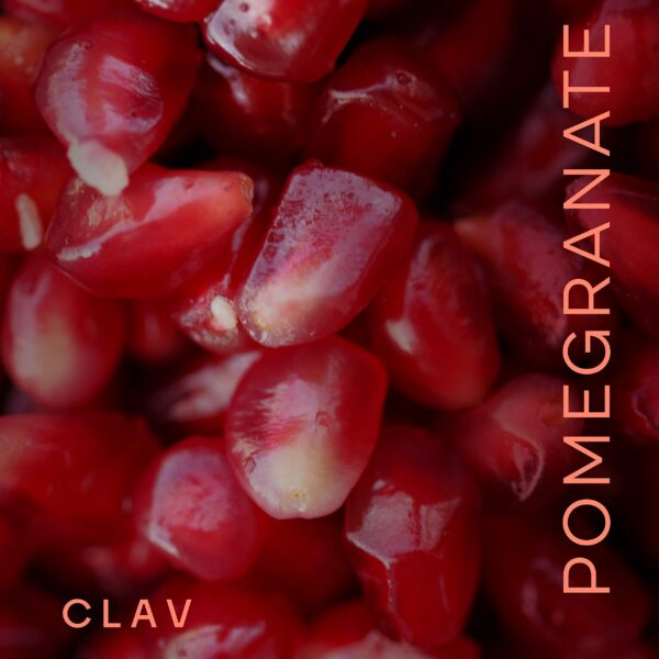 Etiqueta trasera de CLAV Pomegranate Extract