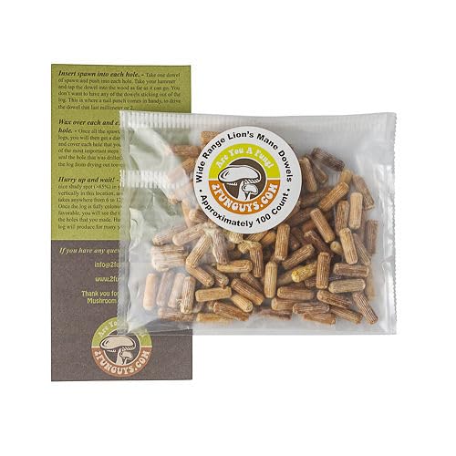 Clavos dowel spawn Melena de León 2funguys 100 unidades