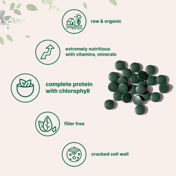 Clorela rica en proteínas veganas Micro Ingredients