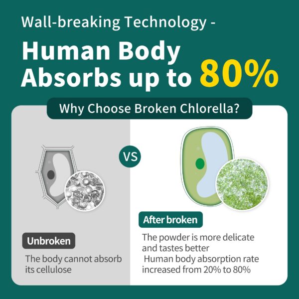 Clorella en polvo para apoyar función hepática y sistema inmunológico