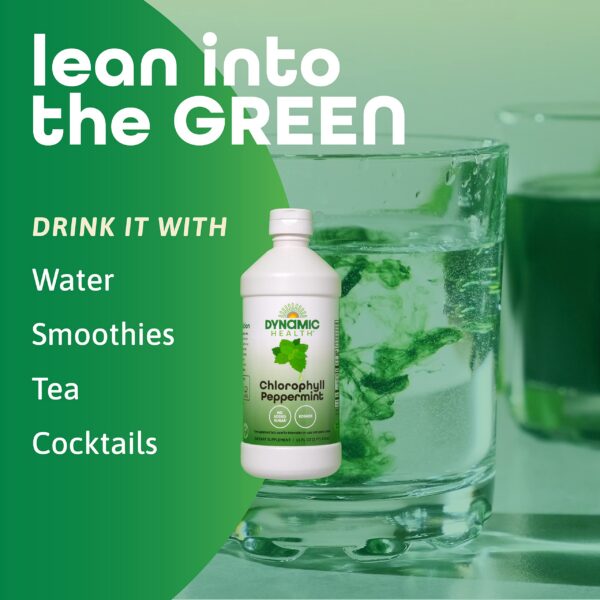 Clorofila líquida Dynamic Health envase 16 onzas para limpieza interna