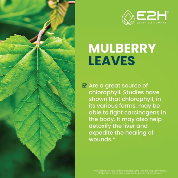 clorofila líquida suplemento natural sabor menta