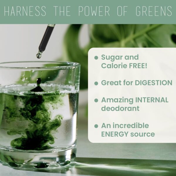 Clorofila líquida vegana para salud digestiva y energía