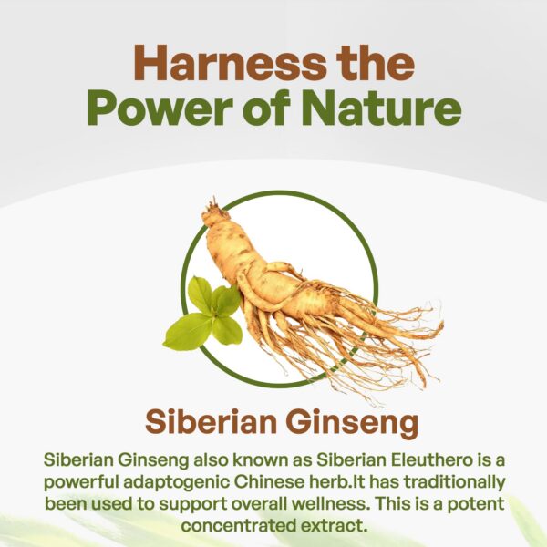 Close-up etiqueta Go Nutra ginseng siberiano polvo natural adaptógeno