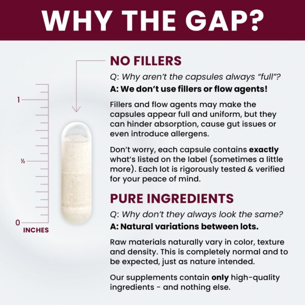 Version 1.0.0 Cepa CNCM I-3799 patentada