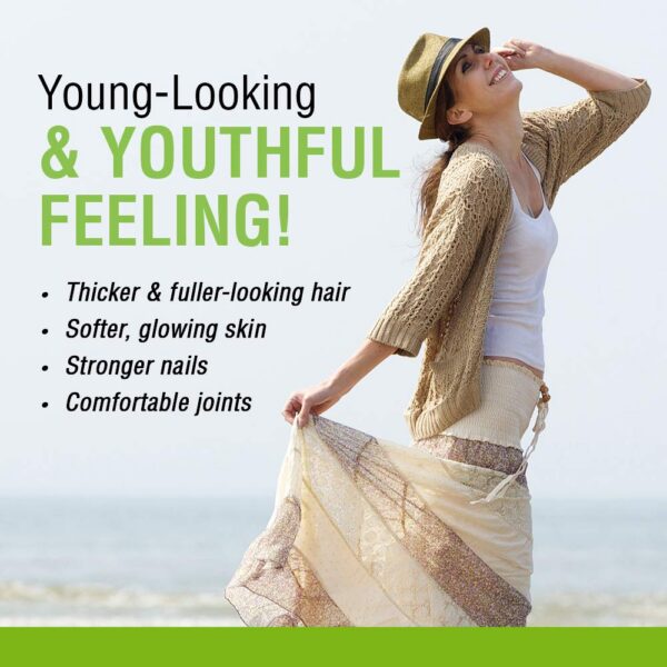 Version 1.0.0 Cola de Caballo Solaray envase