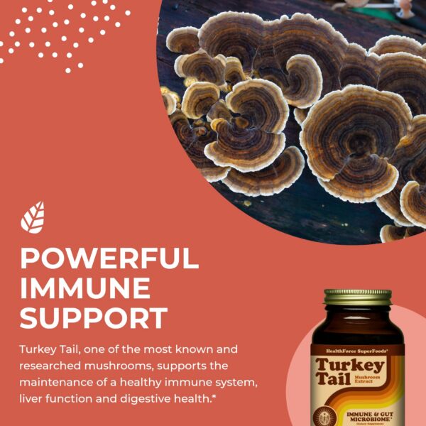 Cola de Pavo HealthForce SuperFoods ingredientes