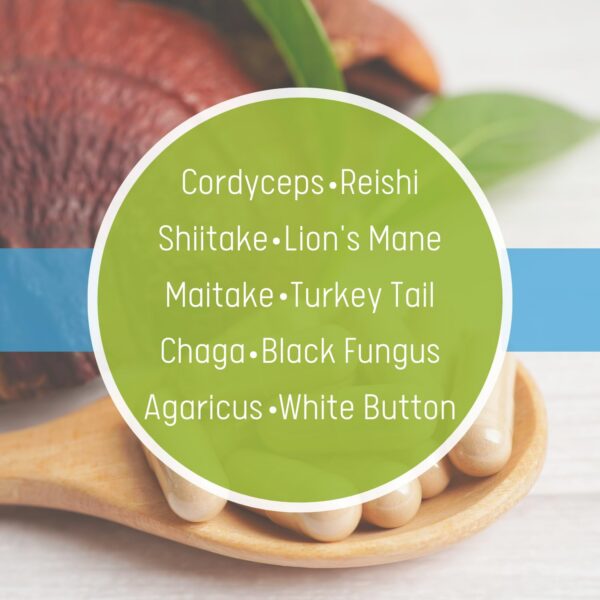 Complejo de 10 Hongos Daily Health apoyo inmunológico