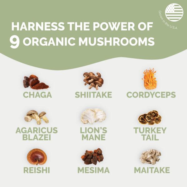 Complejo de hongos orgánicos Boosted Health cápsulas para cerebro foco