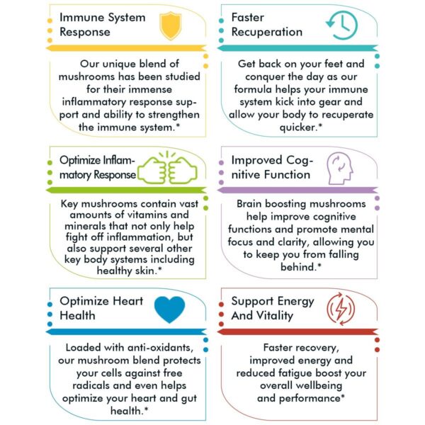 Version 1.0.0 Complejo de hongos Tree of Life para salud inmune