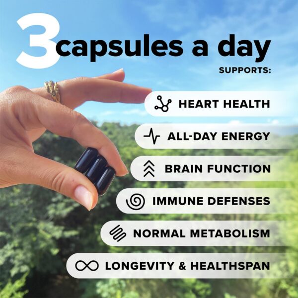 Version 1.0.0 Etiqueta y logos en la etiqueta