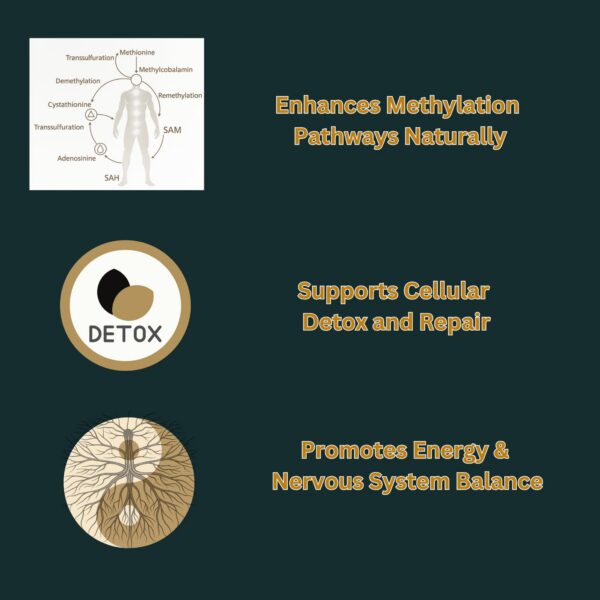 Composición de Crema de Apoyo Metilación con vitaminas.