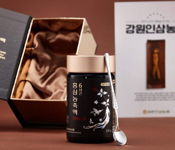 Version 1.0.0 Concentrado ginseng rojo coreano sin aditivos Gangwoninsam