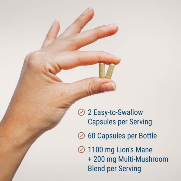 Contenido cápsulas suplemento Melena de León y adaptógenos