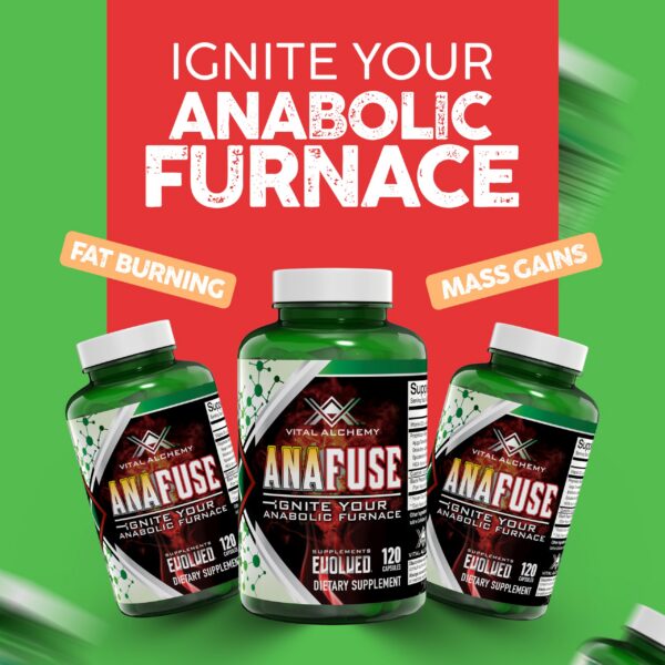 Version 1.0.0 Contenido cápsulas Turkesterona Vital Alchemy Anafuse