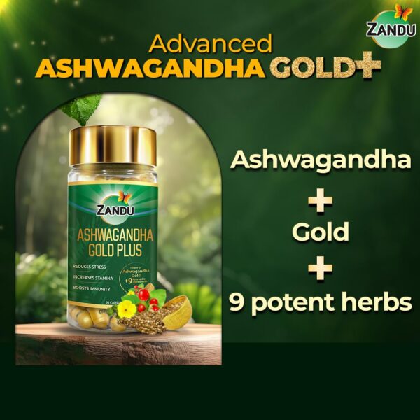 Version 1.0.0 Contenido de cápsulas Zandu Ashwagandha Gold Plus
