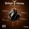 Version 1.0.0 Contenidos nutritivos en palitos HUNY Shilajit