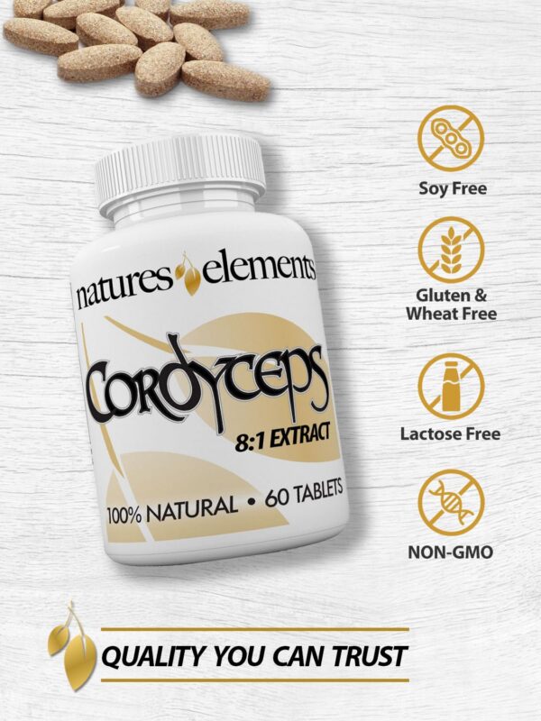 Cordyceps para energía y bienestar
