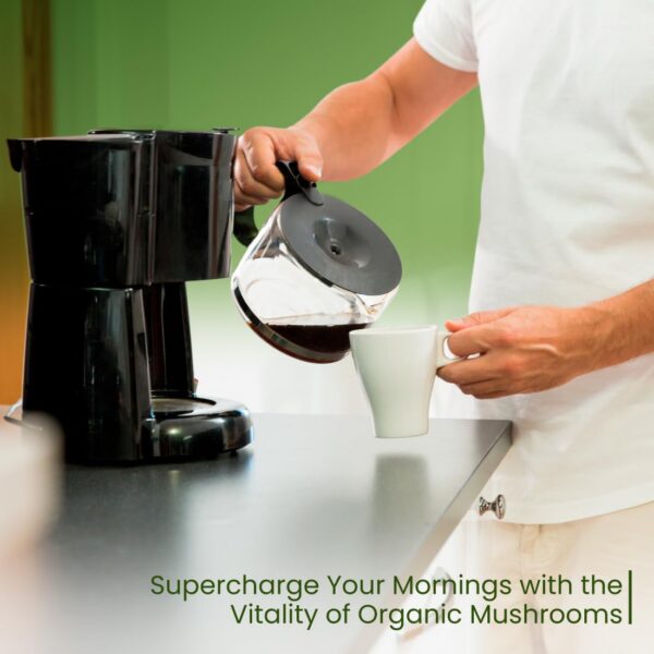 Version 1.0.0 Cordyceps polvo extracto para energía vitalidad y sistema inmune