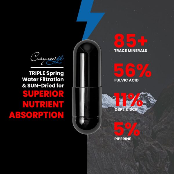 Etiqueta del producto Shilajit Himalayan cosynee