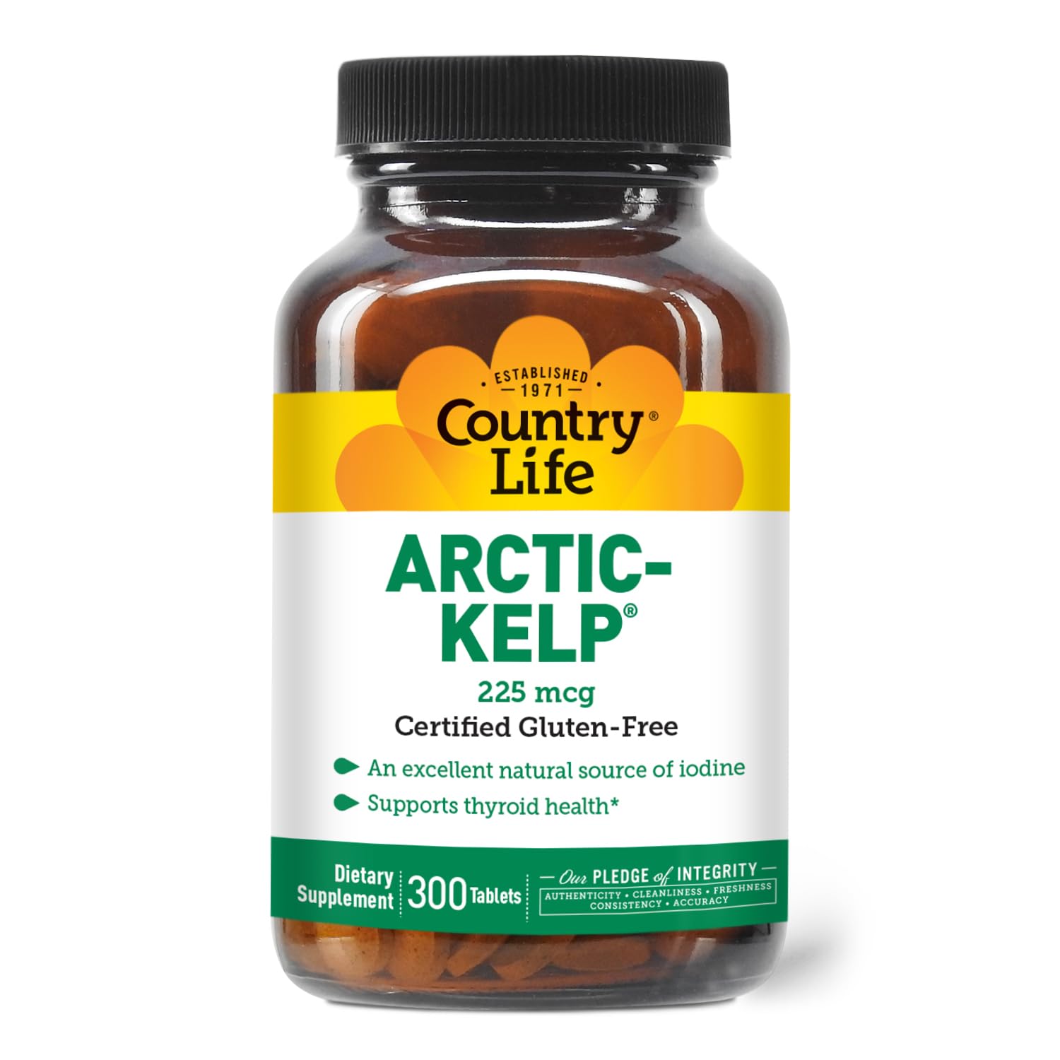 Arctic-Kelp