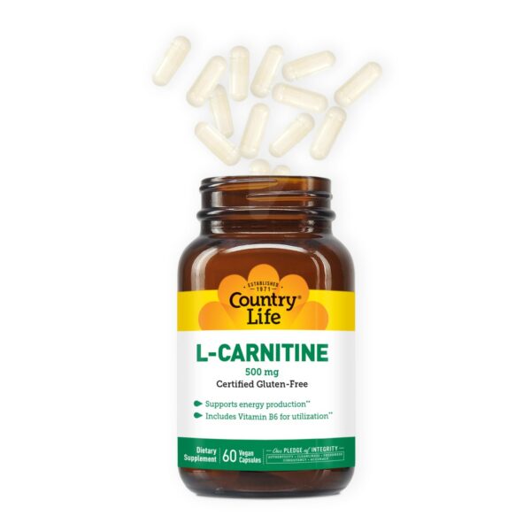 Detalle de cápsulas L-Carnitina