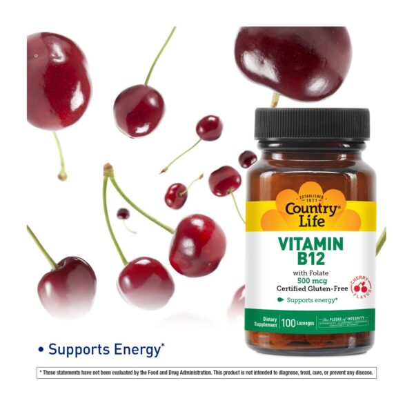 Country Life suplemento vitamina b12 500 mcg