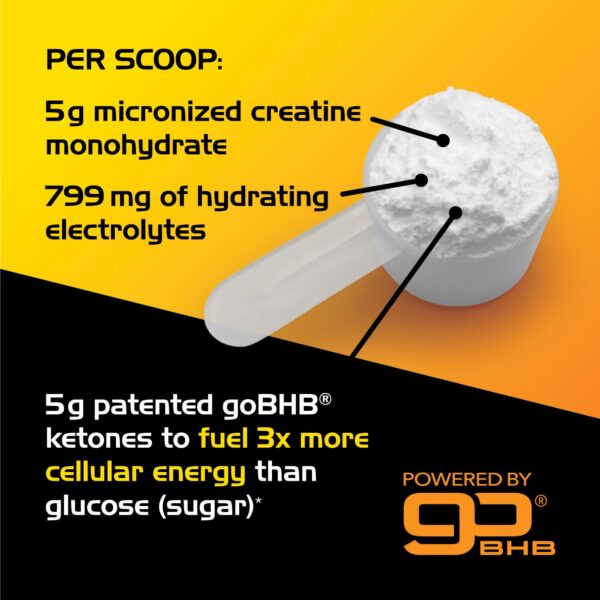 Etiqueta del suplemento de creatina