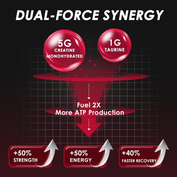 Creatina monohidrato micronizada 5 g por porcion