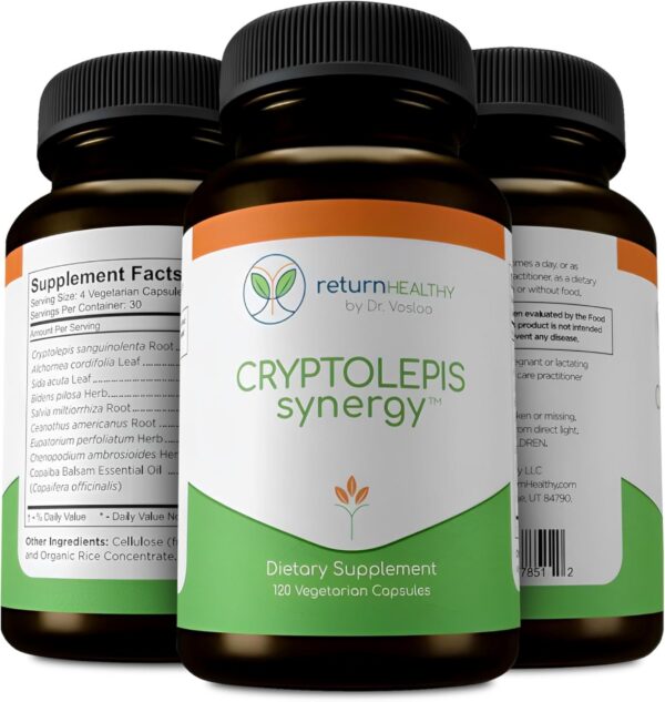Cápsulas de Cryptolepis Synergy vista frontal