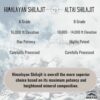 Version 1.0.0 Cuchara dosificadora junto a resina Shilajit Himalaya Pure Himalayan
