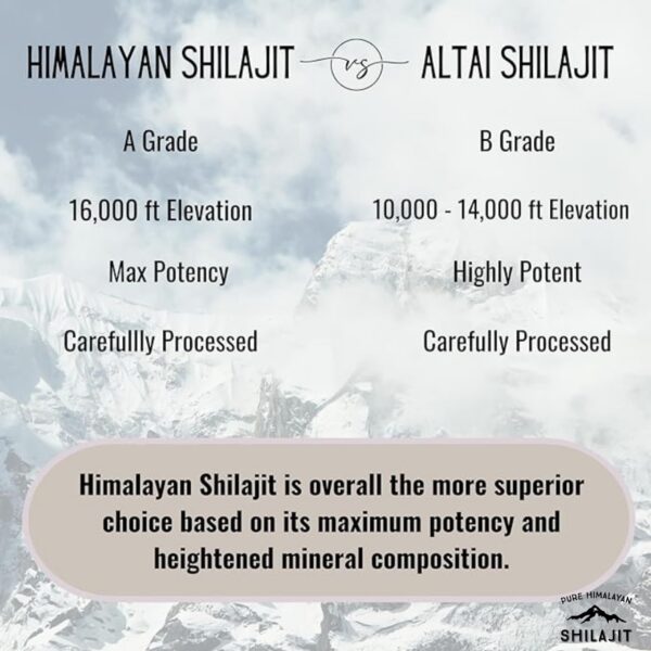 Version 1.0.0 Cuchara dosificadora junto a resina Shilajit Himalaya Pure Himalayan