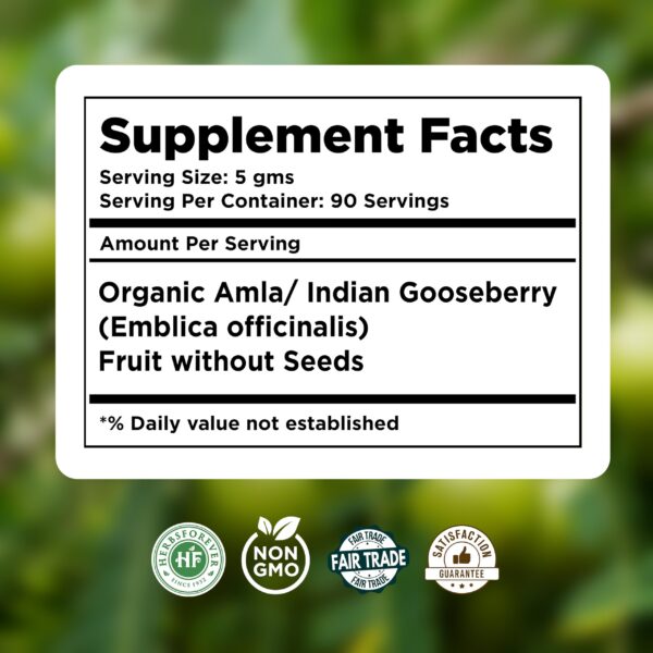 Cuchara con polvo de amla Herbsforever natural y puro