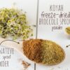 Cucharada polvo brotes brócoli KOYAH equivalente a brotes frescos