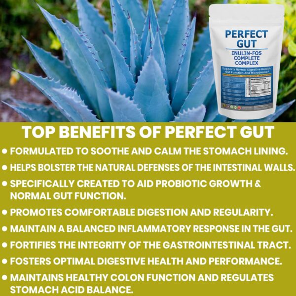 Cucharada de polvo Perfect Gut para microbioma intestinal saludable