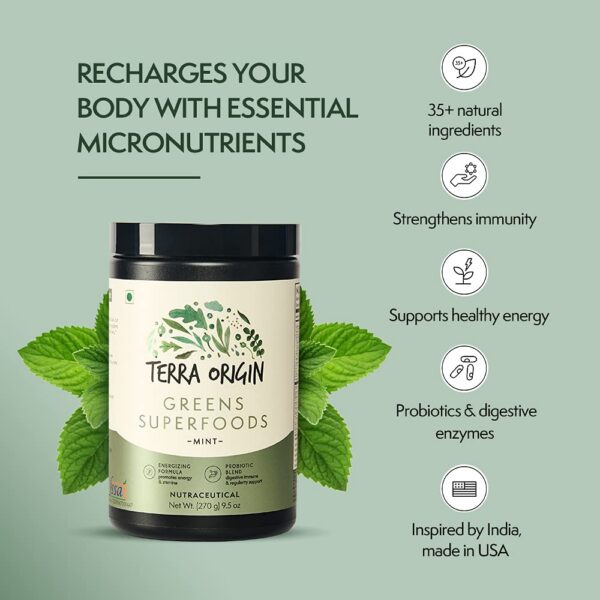 Version 1.0.0 Cucharada de polvo de superalimentos verdes sabor menta