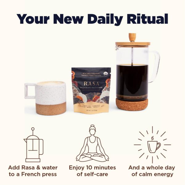 Cucharadita con polvo de mezcla de hongos Magnificent Mushrooms