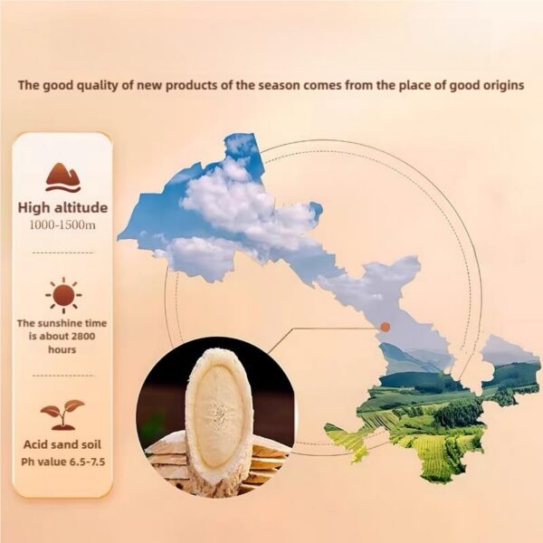 Cucharilla medición polvo Astrágalo Doorpetal 8.81 oz