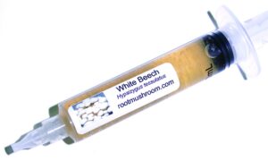 Cultivo líquido de hongos Root Mushroom Farm - Hayas Blancas